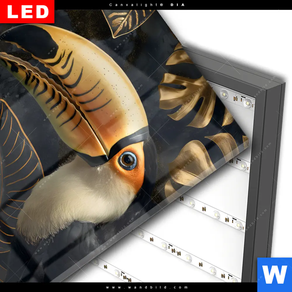 Wechselmotiv Acrylglas Canvalight® DIA | Monstera und Tukan Gold | Quadrat - Image 3