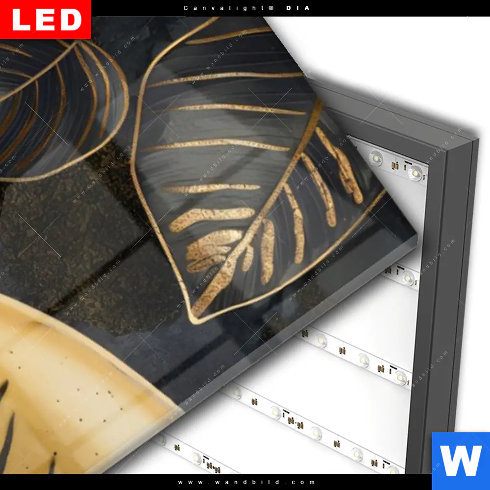 Wechselmotiv Acrylglas Canvalight® DIA | Monstera und Tukan Gold | Schmal - Image 3