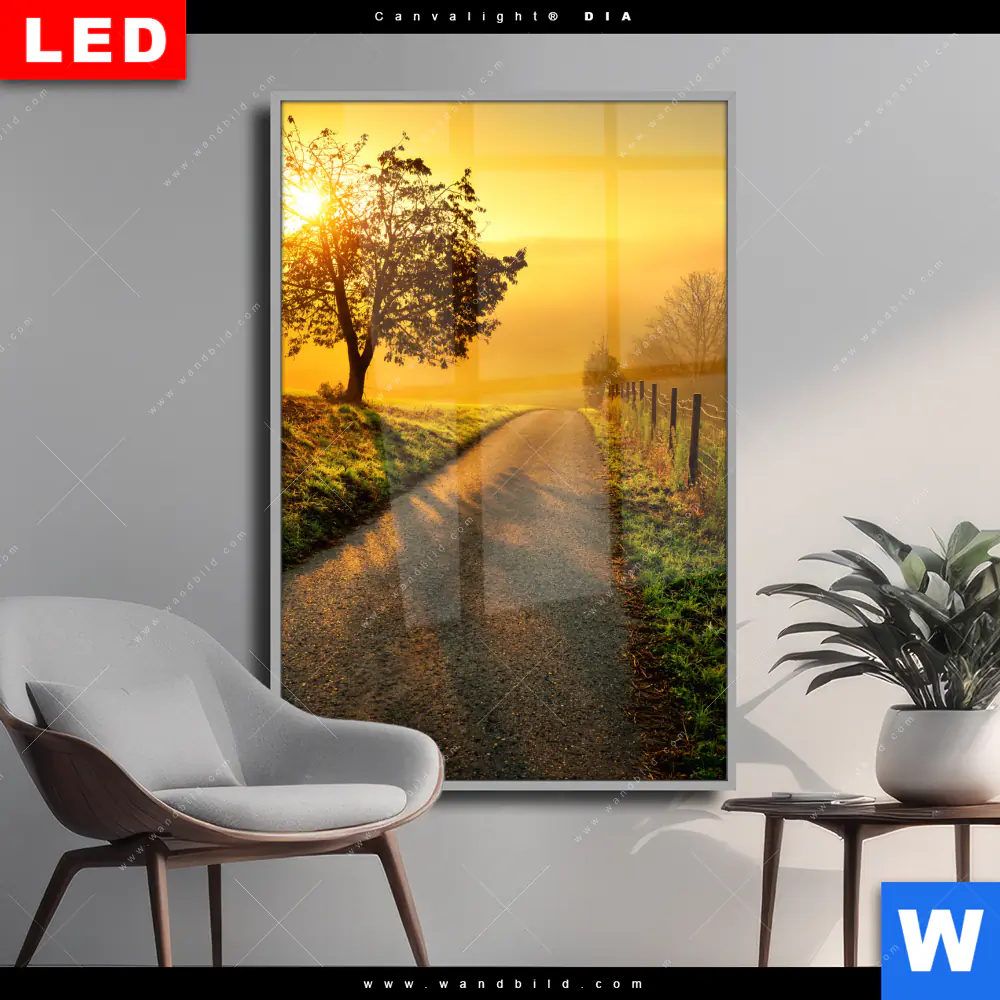 Wechselmotiv Acrylglas Canvalight® DIA | Morgenspaziergang | Hochformat