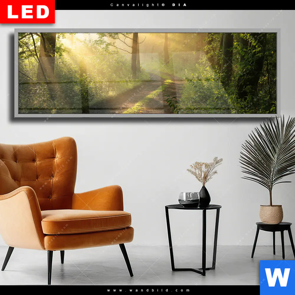 Wechselmotiv Acrylglas Canvalight® DIA | Morgenspaziergang im nebeligem Wald | Panorama