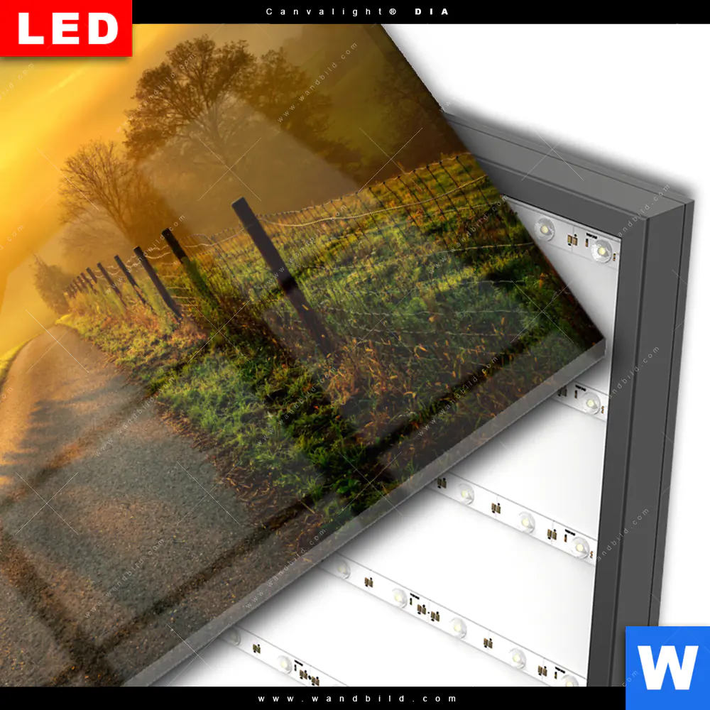 Wechselmotiv Acrylglas Canvalight® DIA | Morgenspaziergang | Querformat - Image 3