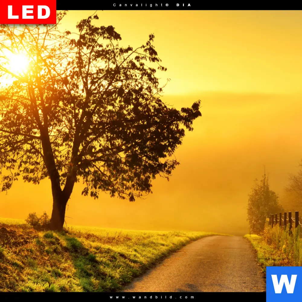 Wechselmotiv Acrylglas Canvalight® DIA | Morgenspaziergang | Querformat - Image 4