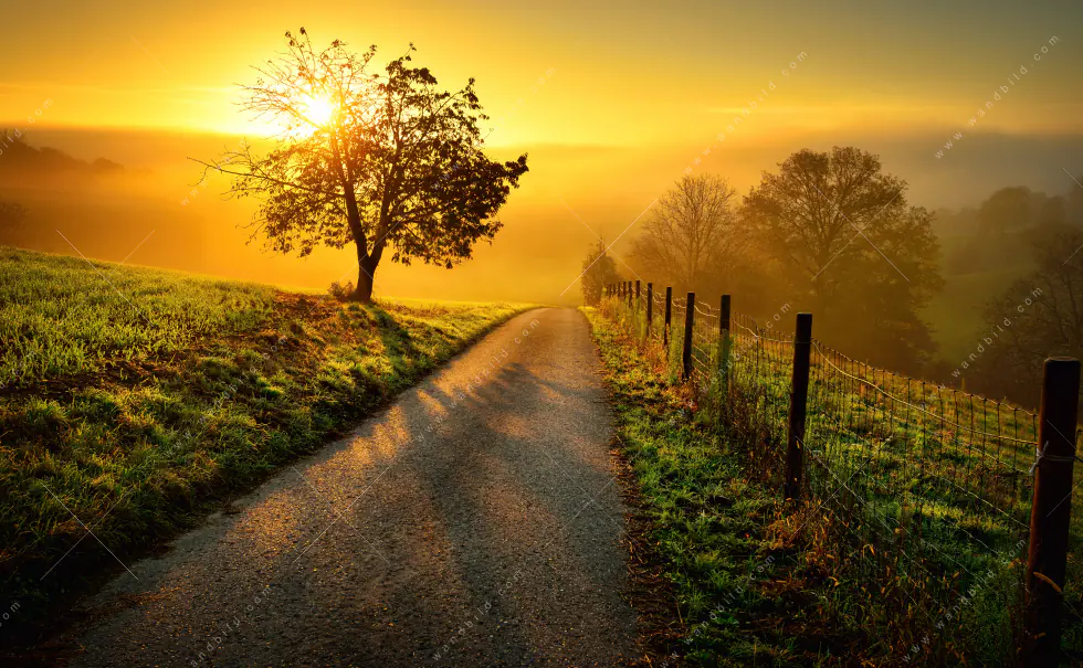 Wechselmotiv Acrylglas Canvalight® DIA | Morgenspaziergang | Querformat - Image 5
