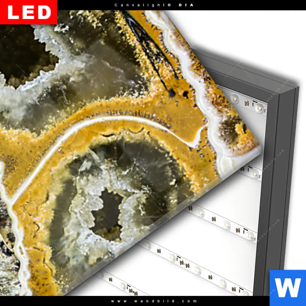Wechselmotiv Acrylglas Canvalight® DIA | Muschel Fossil No. 1 | Panorama - Image 3