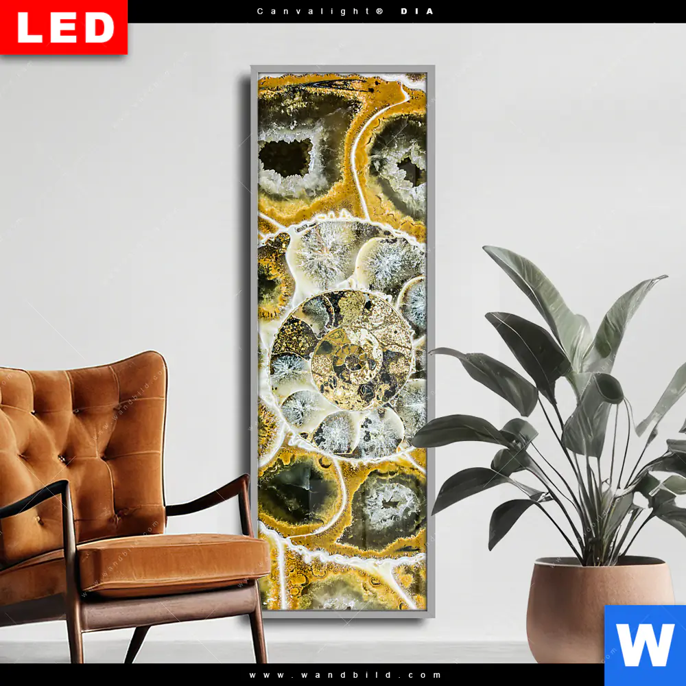 Wechselmotiv Acrylglas Canvalight® DIA | Muschel Fossil No. 1 | Schmal