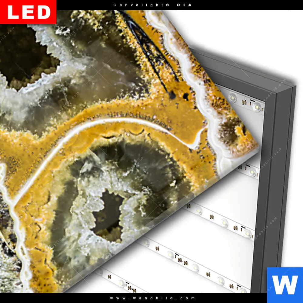 Wechselmotiv Acrylglas Canvalight® DIA | Muschel Fossil No. 1 | Schmal - Image 3