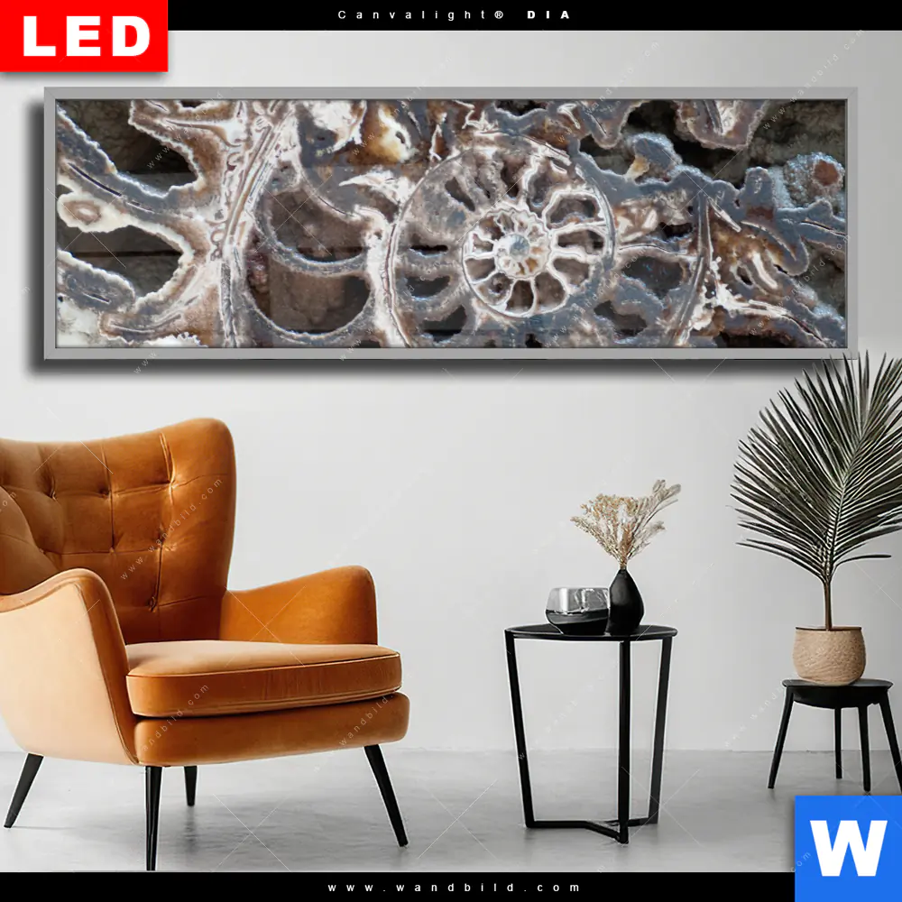 Wechselmotiv Acrylglas Canvalight® DIA | Muschel Fossil No. 3 | Panorama
