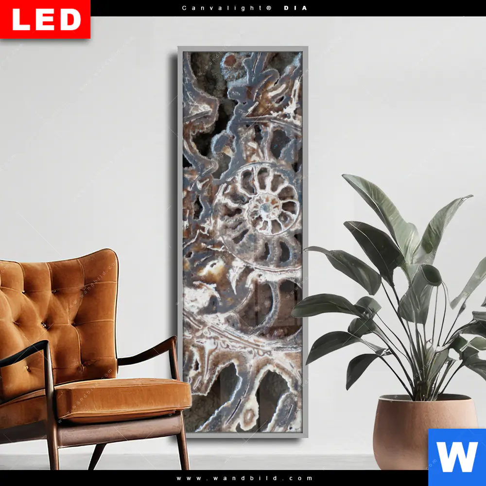 Wechselmotiv Acrylglas Canvalight® DIA | Muschel Fossil No. 3 | Schmal