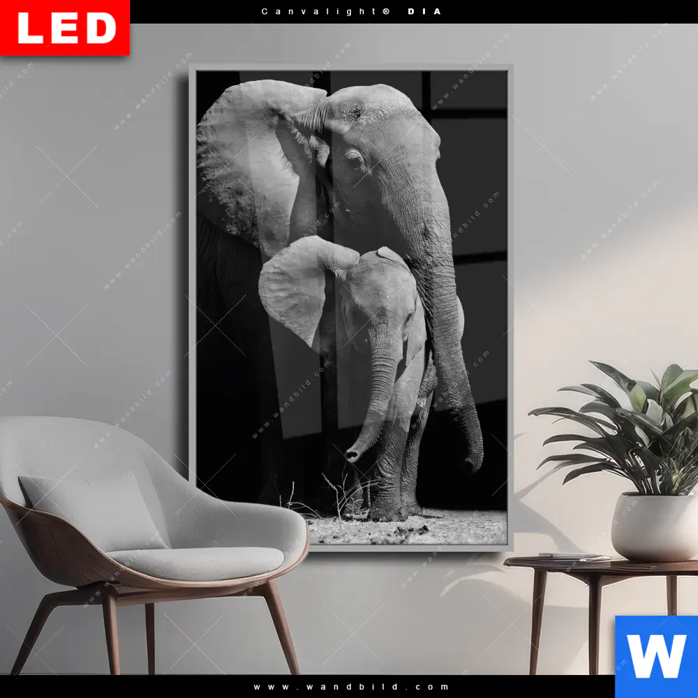 Wechselmotiv Acrylglas Canvalight® DIA | Mutter & Baby Elefant | Hochformat