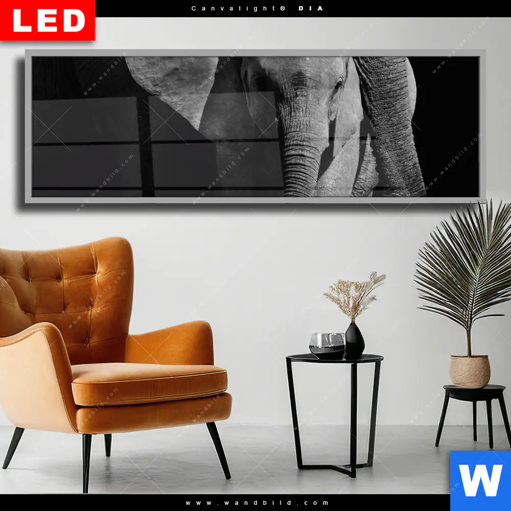 Wechselmotiv Acrylglas Canvalight® DIA | Mutter & Baby Elefant | Panorama