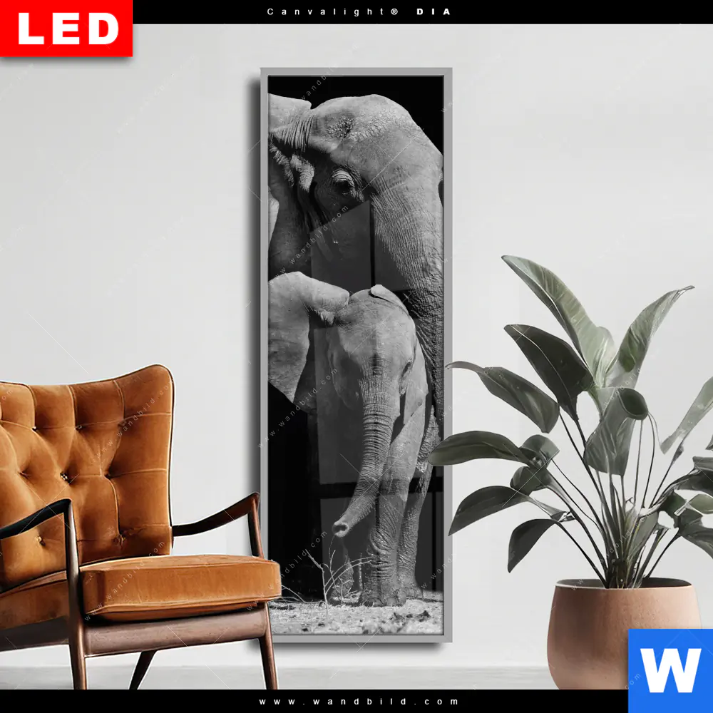Wechselmotiv Acrylglas Canvalight® DIA | Mutter & Baby Elefant | Schmal