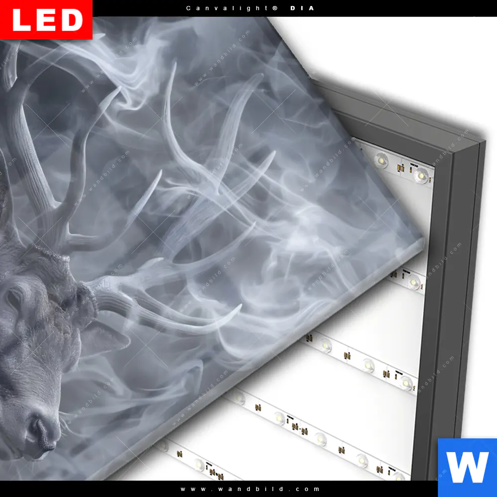 Wechselmotiv Acrylglas Canvalight® DIA | Mystischer Hirsch im Nebel | Hochformat - Image 3