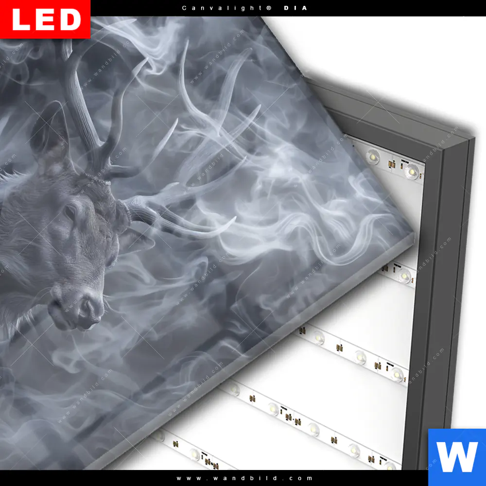 Wechselmotiv Acrylglas Canvalight® DIA | Mystischer Hirsch im Nebel | Quadrat - Image 3