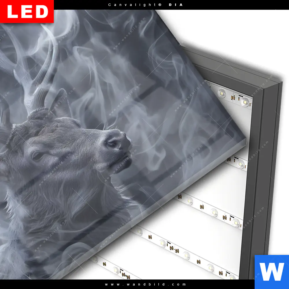 Wechselmotiv Acrylglas Canvalight® DIA | Mystischer Hirsch im Nebel | Querformat - Image 3