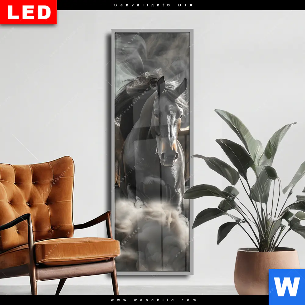 Wechselmotiv Acrylglas Canvalight® DIA | Mystisches Pferd mit Flügeln | Schmal