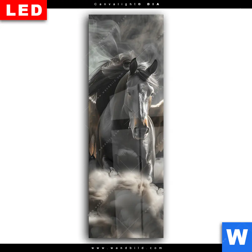 Wechselmotiv Acrylglas Canvalight® DIA | Mystisches Pferd mit Flügeln | Schmal - Image 2