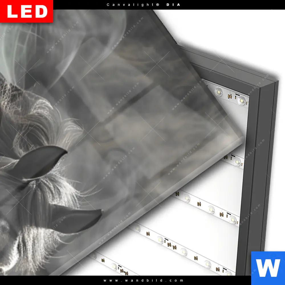 Wechselmotiv Acrylglas Canvalight® DIA | Mystisches Pferd mit Flügeln | Schmal - Image 3