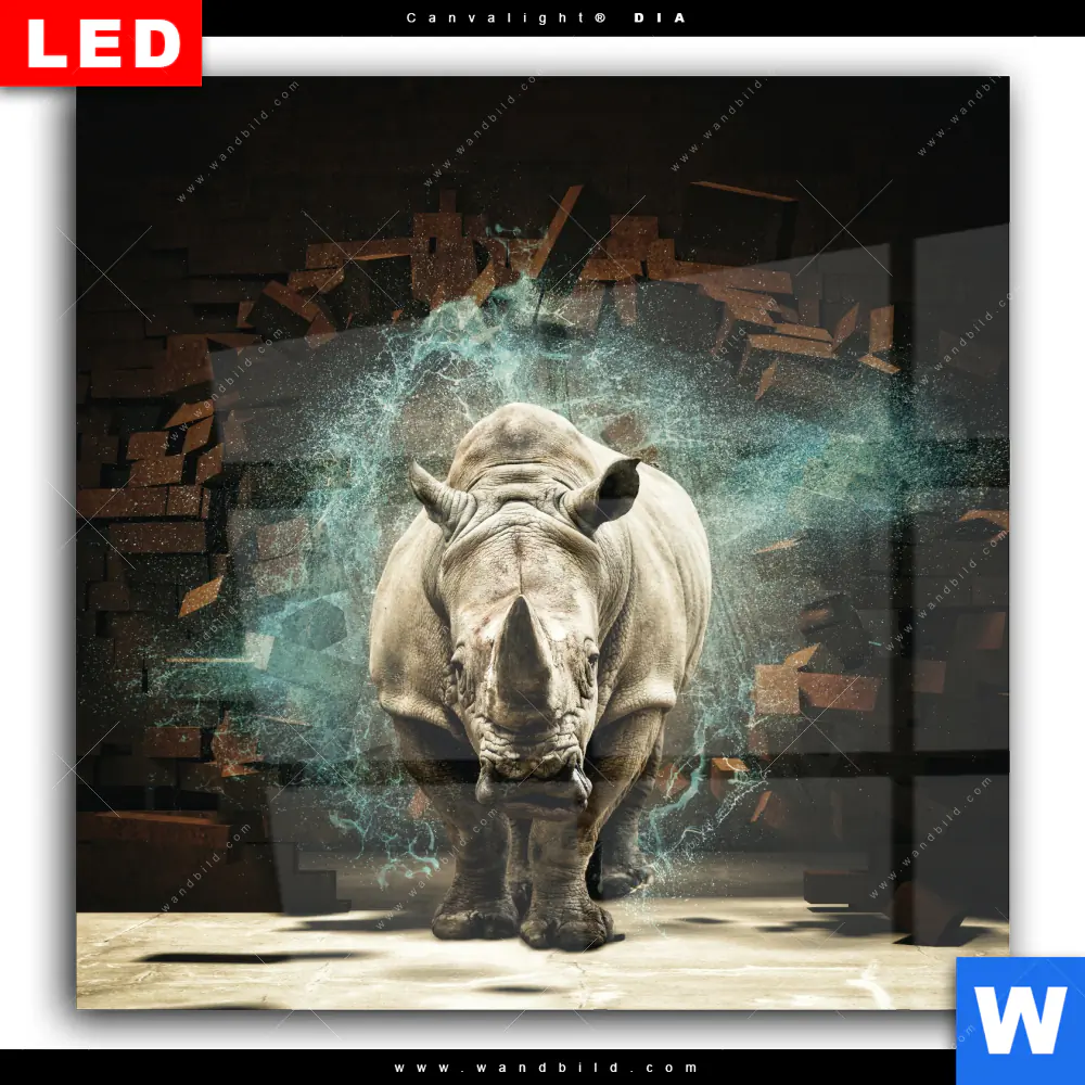 Wechselmotiv Acrylglas Canvalight® DIA | Nashorn zerstört Wand | Quadrat - Image 2