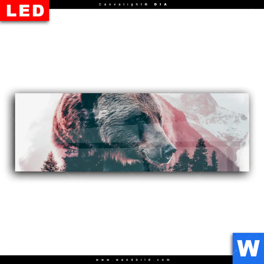 Wechselmotiv Acrylglas Canvalight® DIA | Natur und Braunbär | Panorama - Image 2