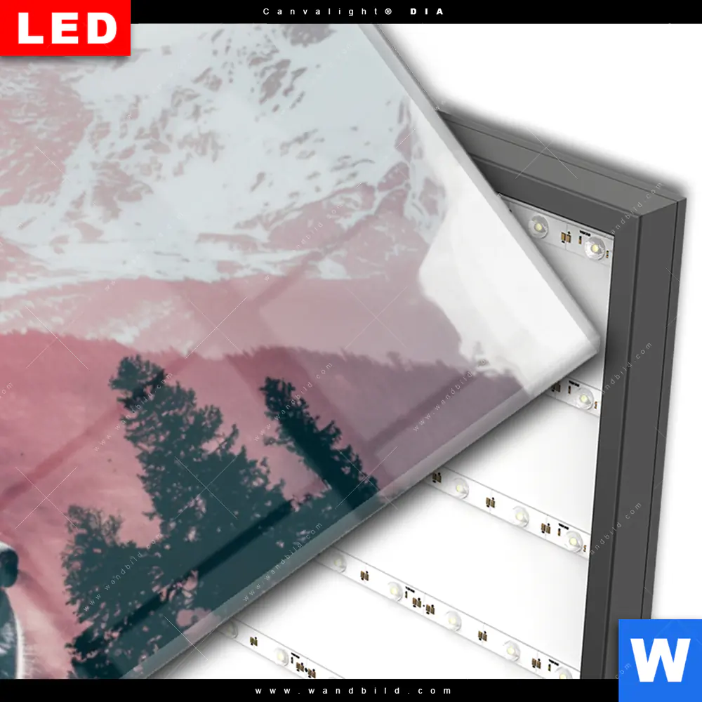 Wechselmotiv Acrylglas Canvalight® DIA | Natur und Braunbär | Panorama - Image 3