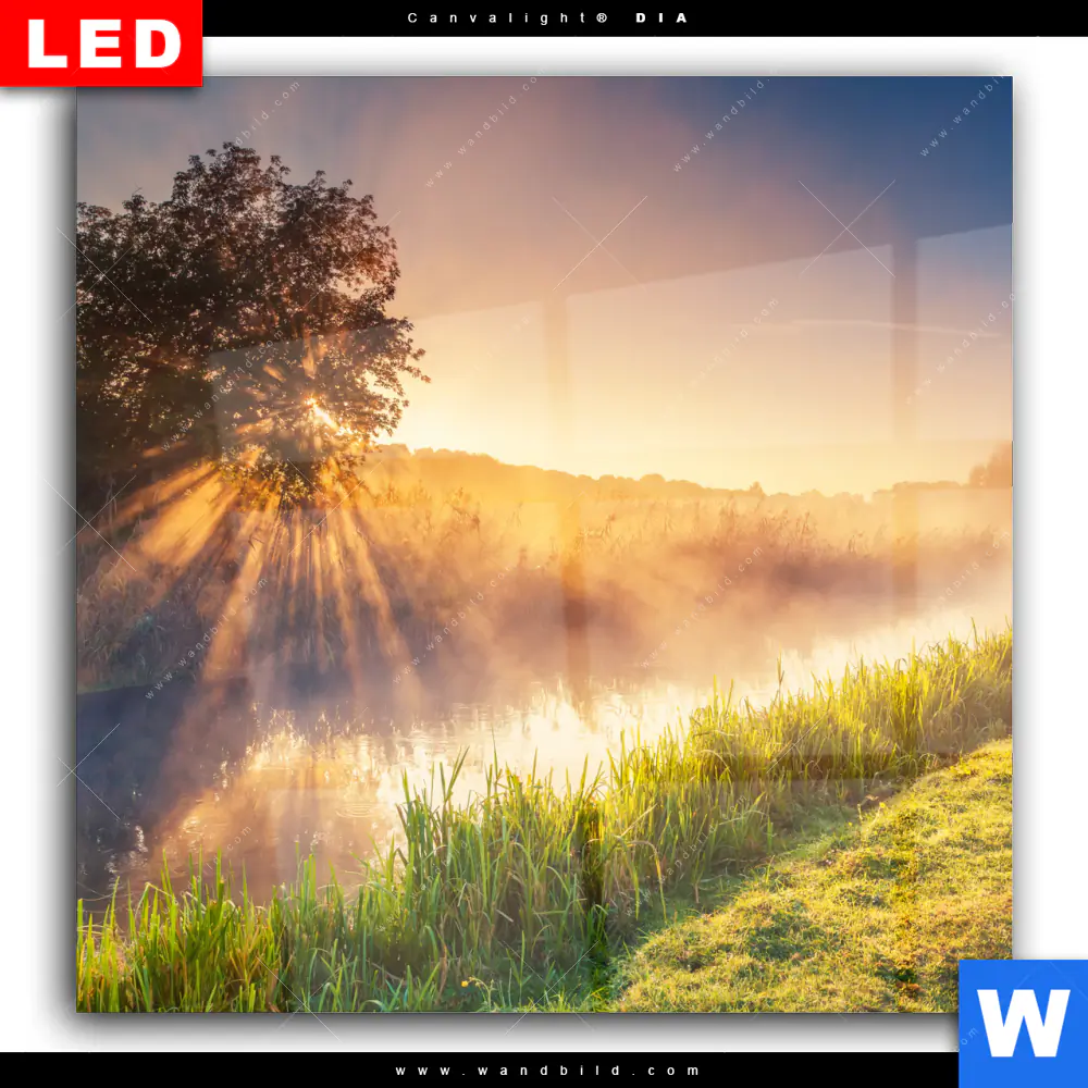 Wechselmotiv Acrylglas Canvalight® DIA | Nebel am Fluss | Quadrat - Image 2