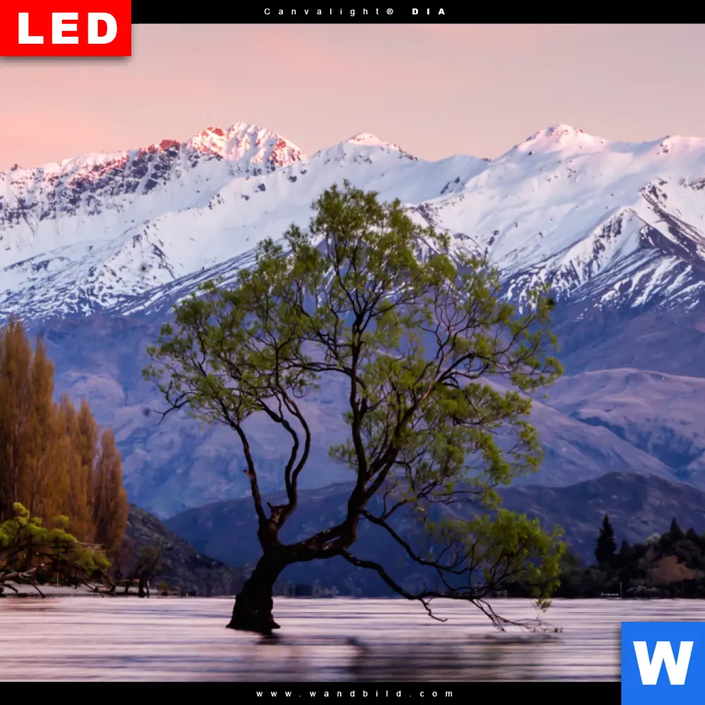Wechselmotiv Acrylglas Canvalight® DIA | Neuseeland am Morgen | Panorama - Image 4