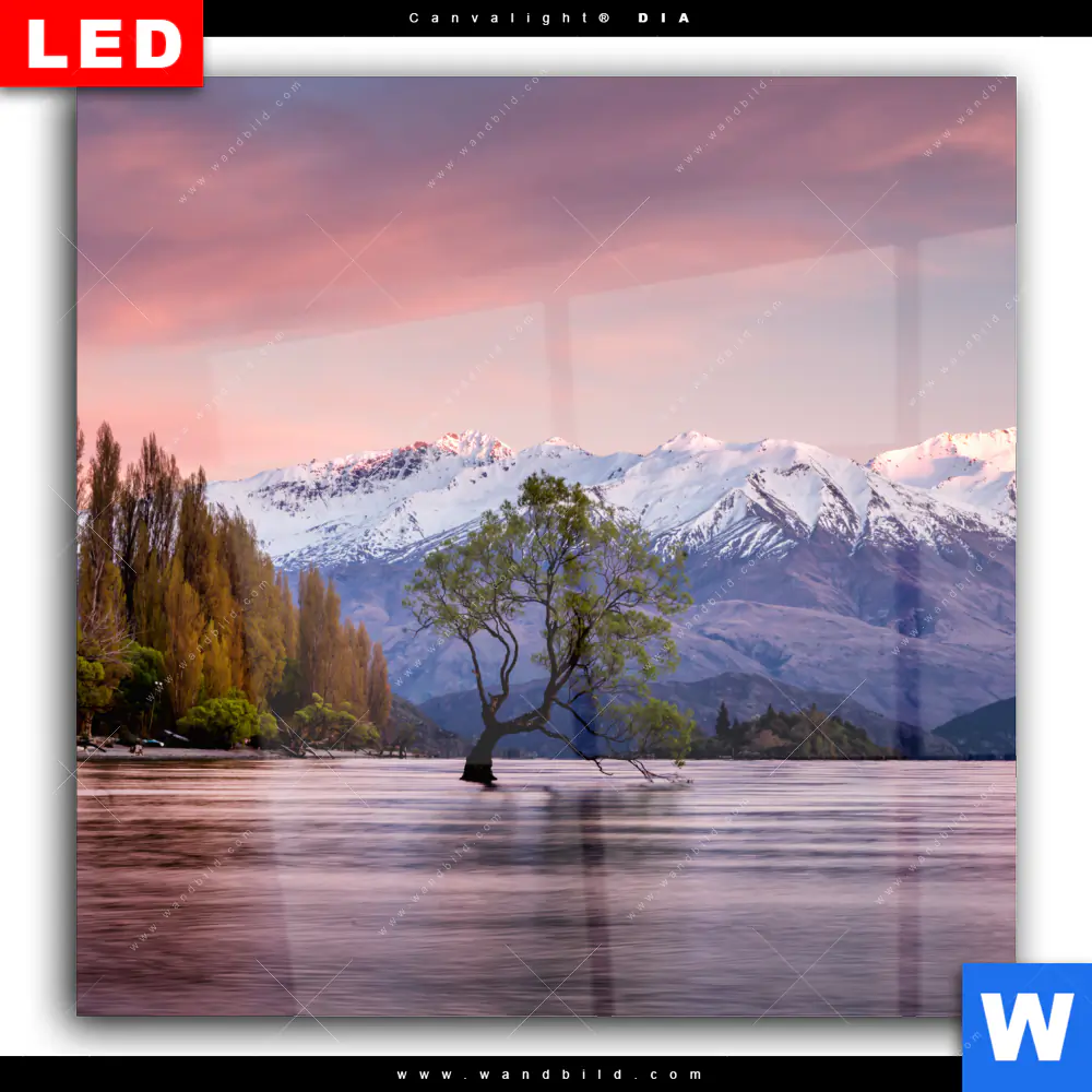 Wechselmotiv Acrylglas Canvalight® DIA | Neuseeland am Morgen | Quadrat - Image 2
