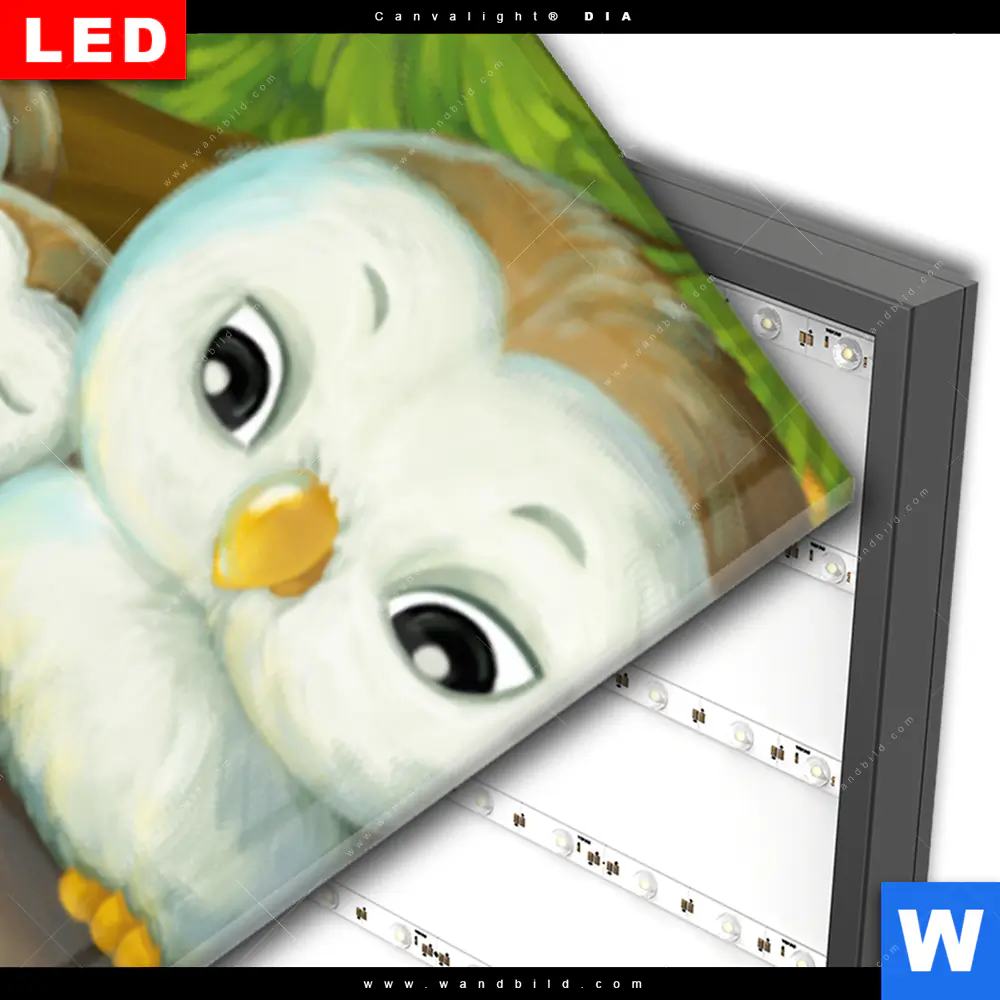 Wechselmotiv Acrylglas Canvalight® DIA | Niedliche Waldtiere | Schmal - Image 3