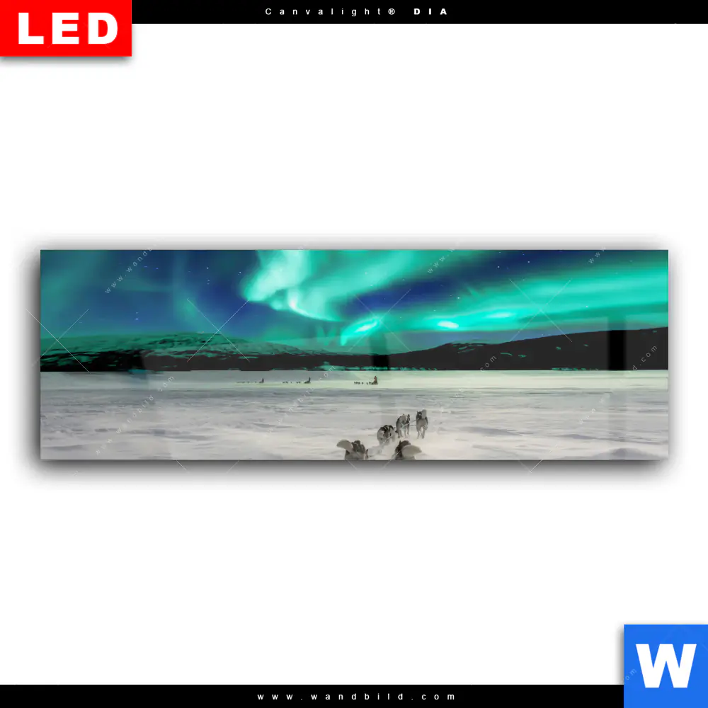 Wechselmotiv Acrylglas Canvalight® DIA | Nordlichter und Schlittenhunde | Panorama - Image 2