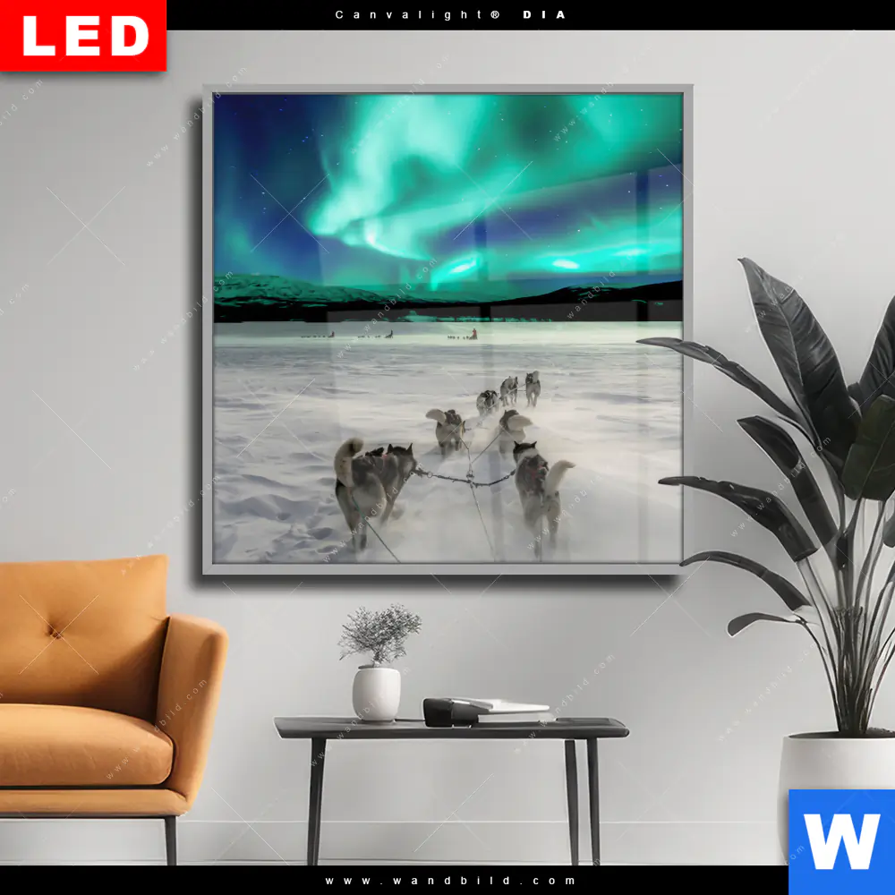 Wechselmotiv Acrylglas Canvalight® DIA | Nordlichter und Schlittenhunde | Quadrat