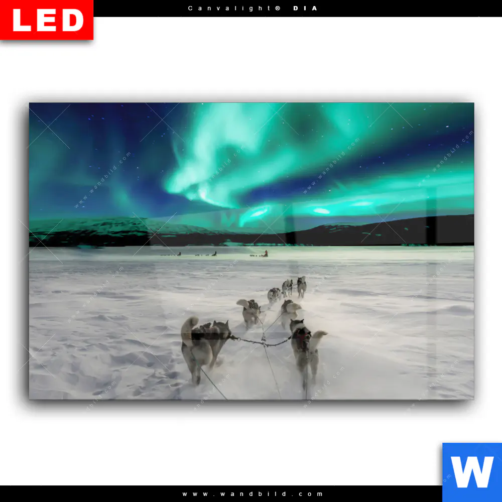 Wechselmotiv Acrylglas Canvalight® DIA | Nordlichter und Schlittenhunde | Querformat - Image 2