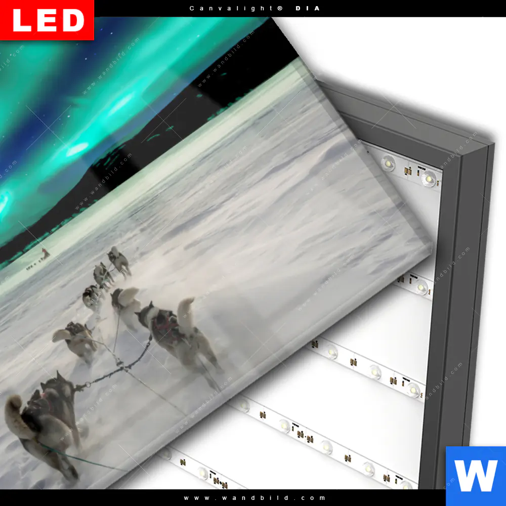 Wechselmotiv Acrylglas Canvalight® DIA | Nordlichter und Schlittenhunde | Querformat - Image 3