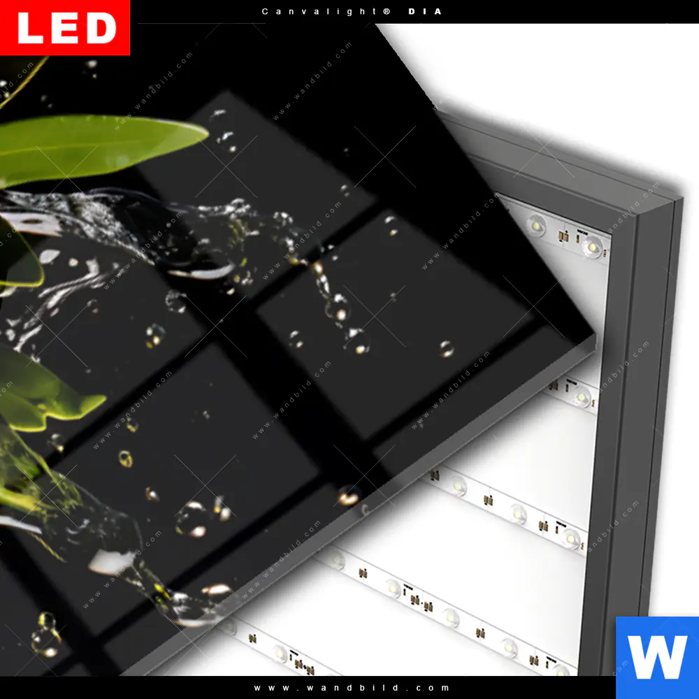 Wechselmotiv Acrylglas Canvalight® DIA | Oliven Splash | Schmal - Image 3