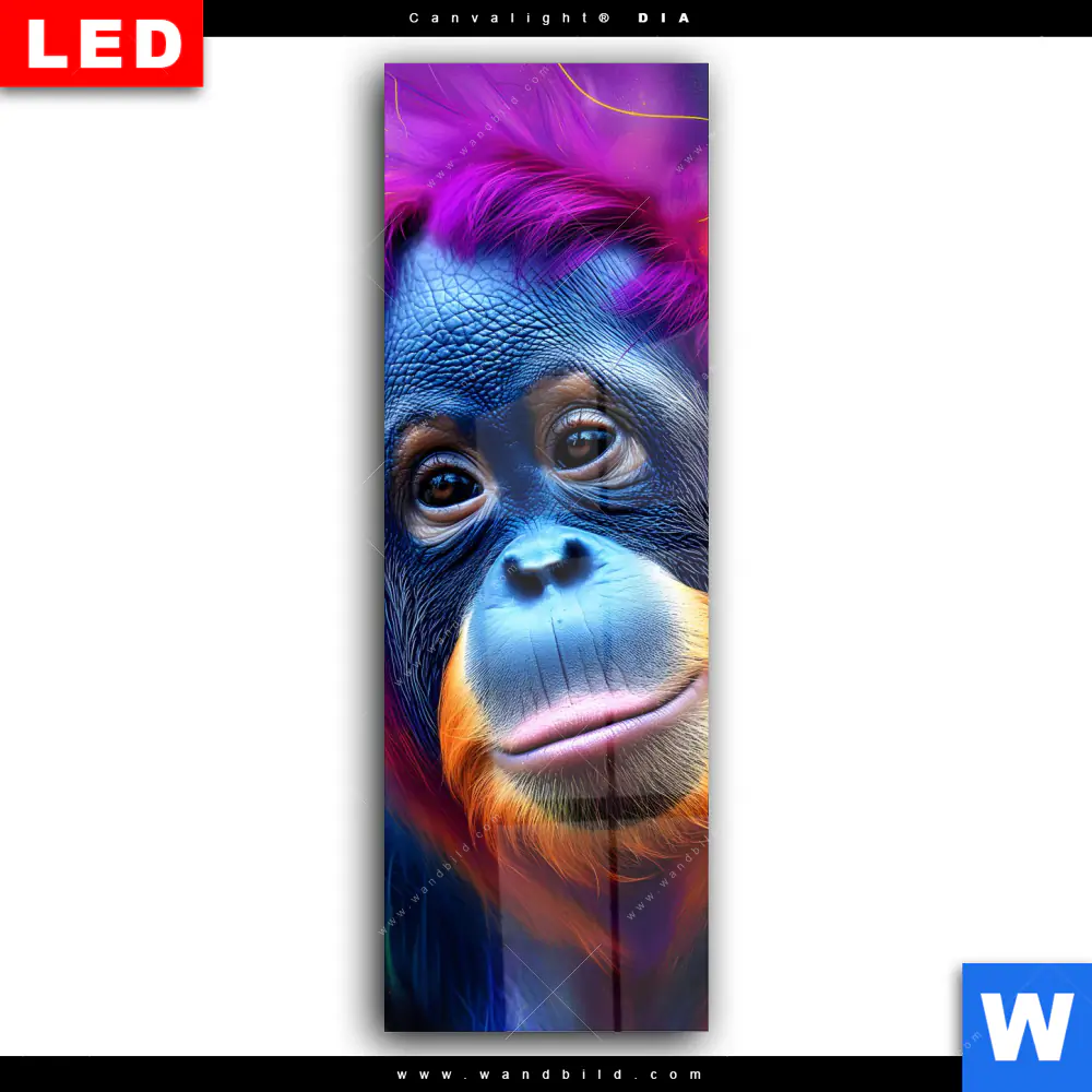Wechselmotiv Acrylglas Canvalight® DIA | Orang-Utan in Regenbogenfarben | Schmal - Image 2
