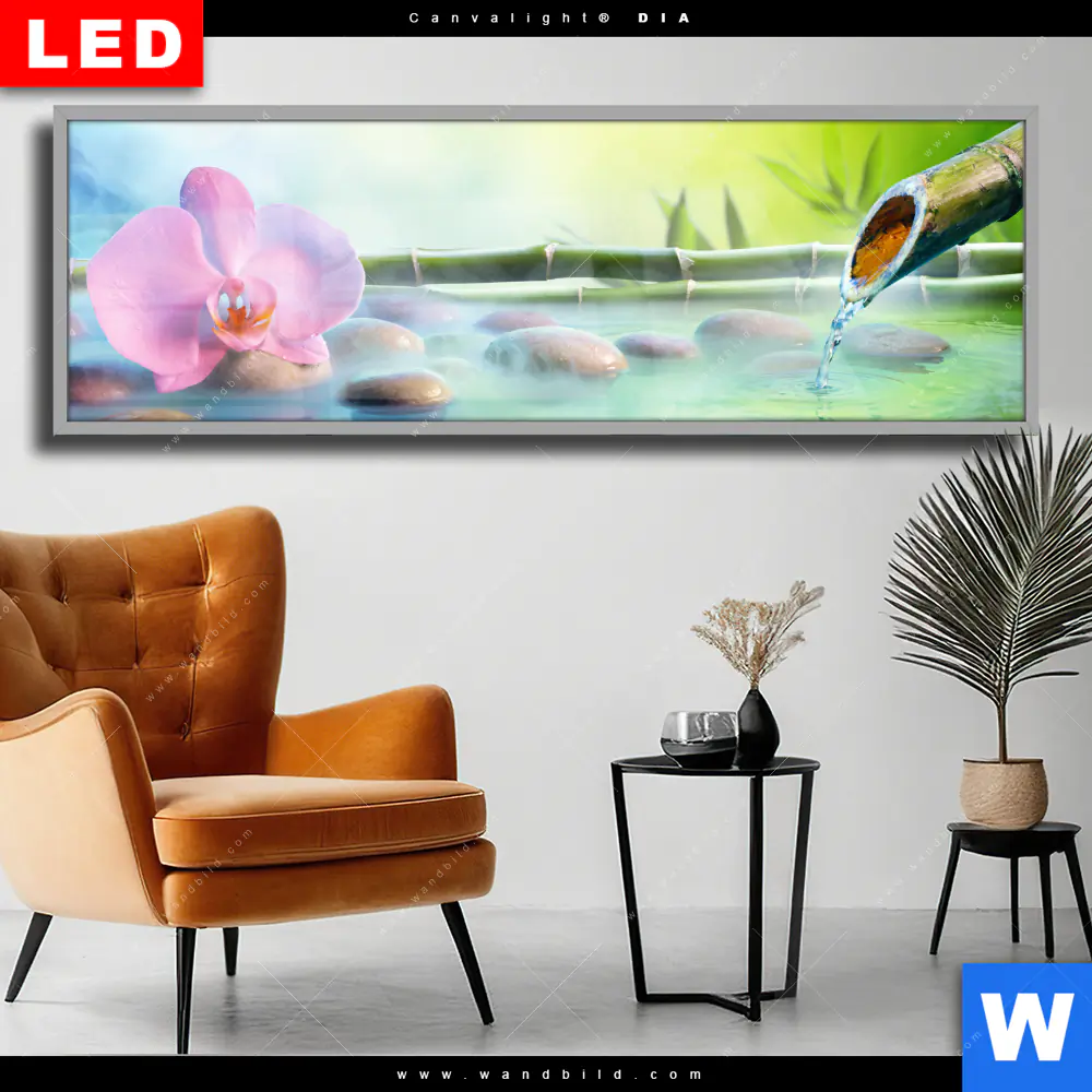 Wechselmotiv Acrylglas Canvalight® DIA | Orchidee im japanischer Brunnen | Panorama