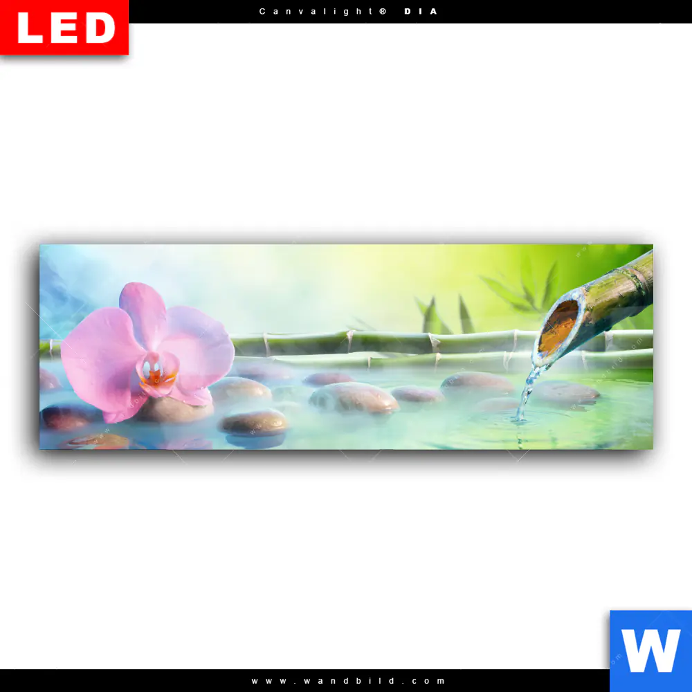 Wechselmotiv Acrylglas Canvalight® DIA | Orchidee im japanischer Brunnen | Panorama - Image 2