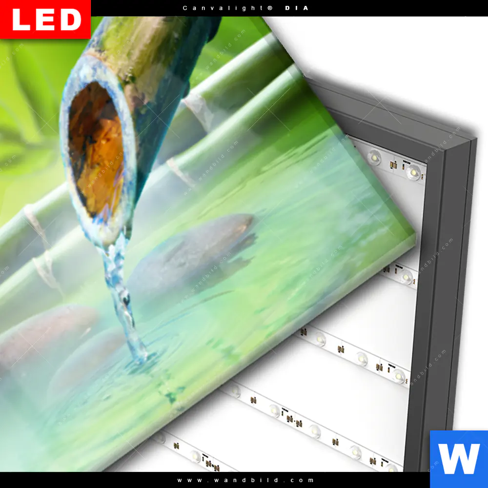 Wechselmotiv Acrylglas Canvalight® DIA | Orchidee im japanischer Brunnen | Panorama - Image 3