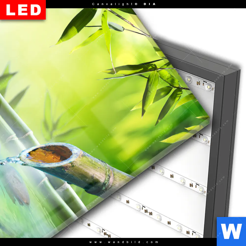 Wechselmotiv Acrylglas Canvalight® DIA | Orchidee im japanischer Brunnen | Quadrat - Image 3