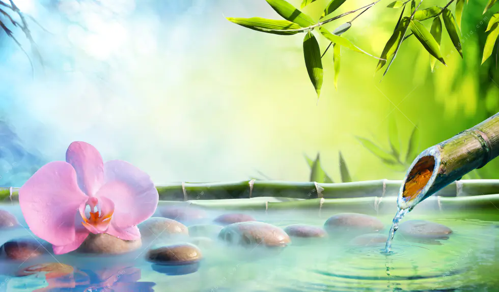 Wechselmotiv Acrylglas Canvalight® DIA | Orchidee im japanischer Brunnen | Schmal - Image 5