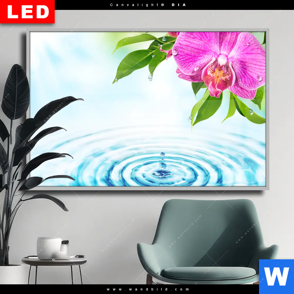 Wechselmotiv Acrylglas Canvalight® DIA | Orchidee & Wassertropfen | Querformat