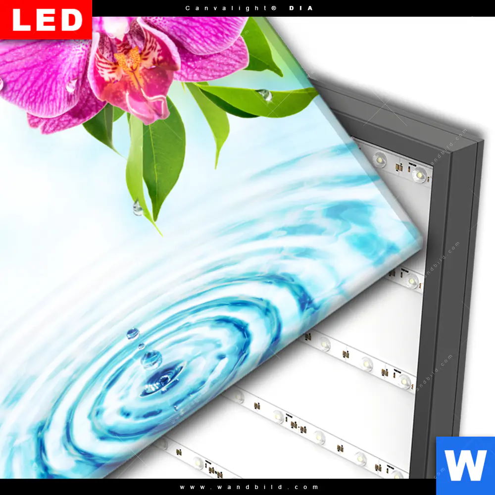 Wechselmotiv Acrylglas Canvalight® DIA | Orchidee & Wassertropfen | Querformat - Image 3