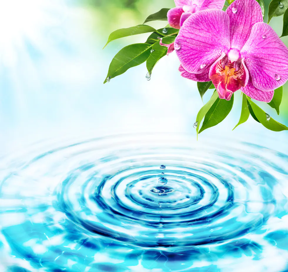Wechselmotiv Acrylglas Canvalight® DIA | Orchidee & Wassertropfen | Querformat - Image 5