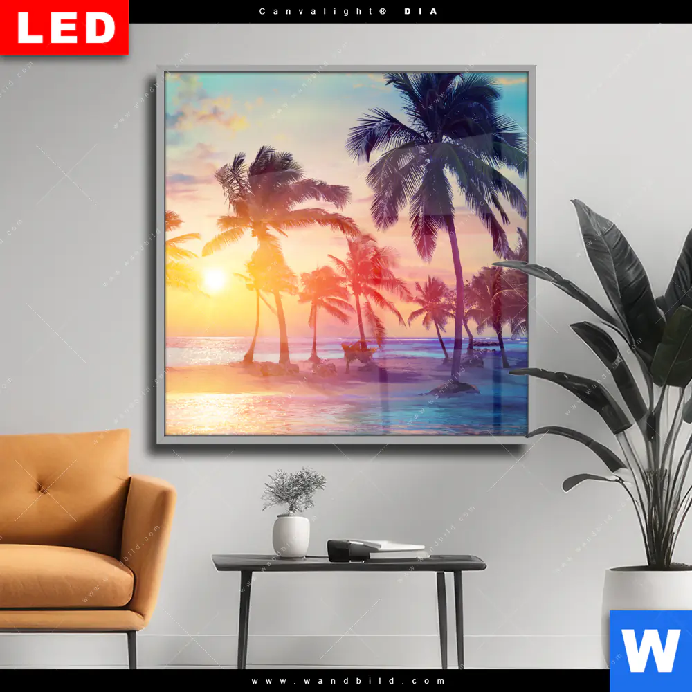 Wechselmotiv Acrylglas Canvalight® DIA | Palmen bei Sonnenuntergang | Quadrat