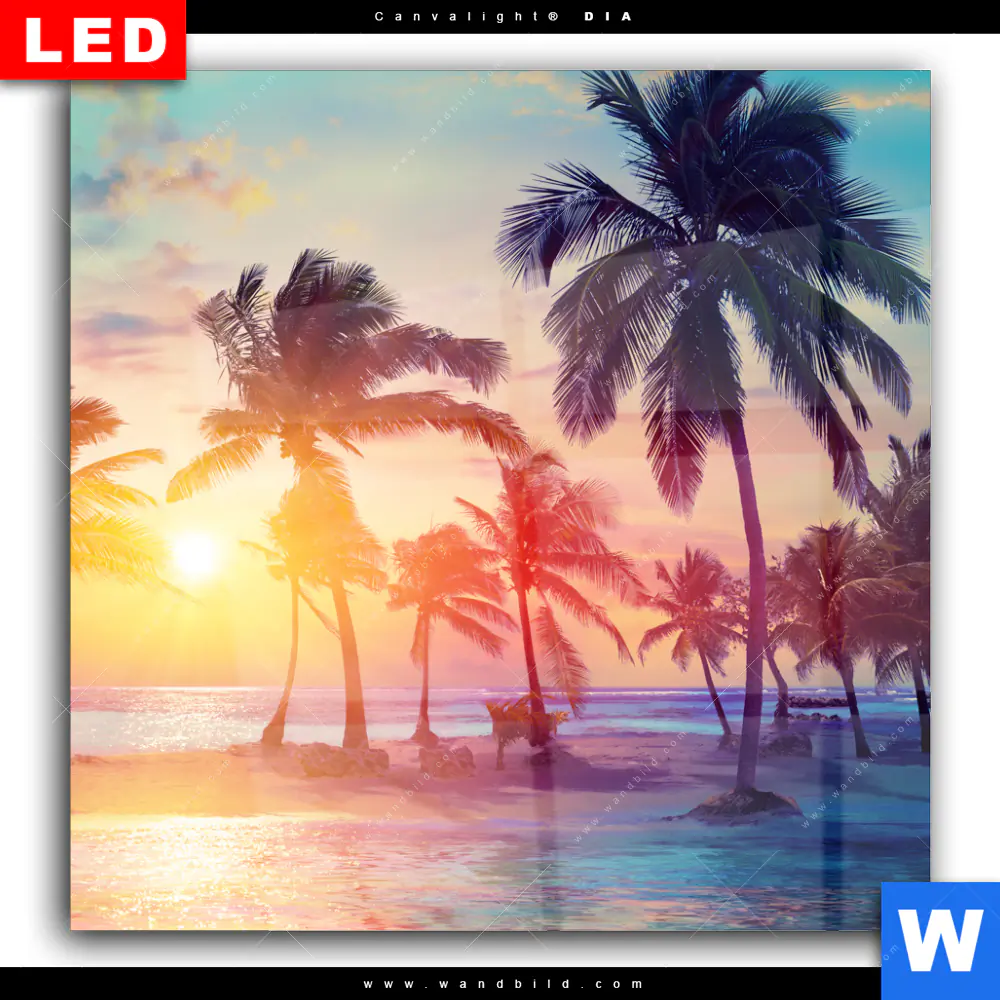 Wechselmotiv Acrylglas Canvalight® DIA | Palmen bei Sonnenuntergang | Quadrat - Image 2