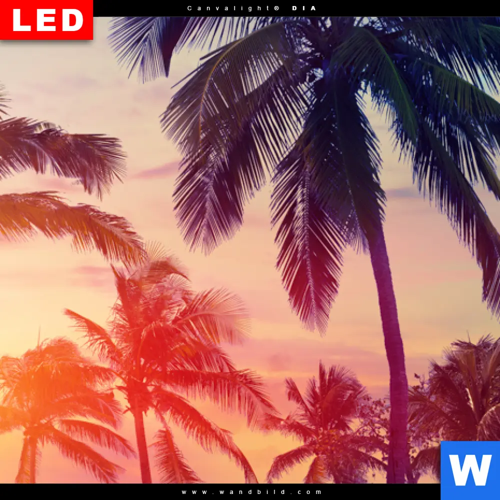 Wechselmotiv Acrylglas Canvalight® DIA | Palmen bei Sonnenuntergang | Quadrat - Image 4