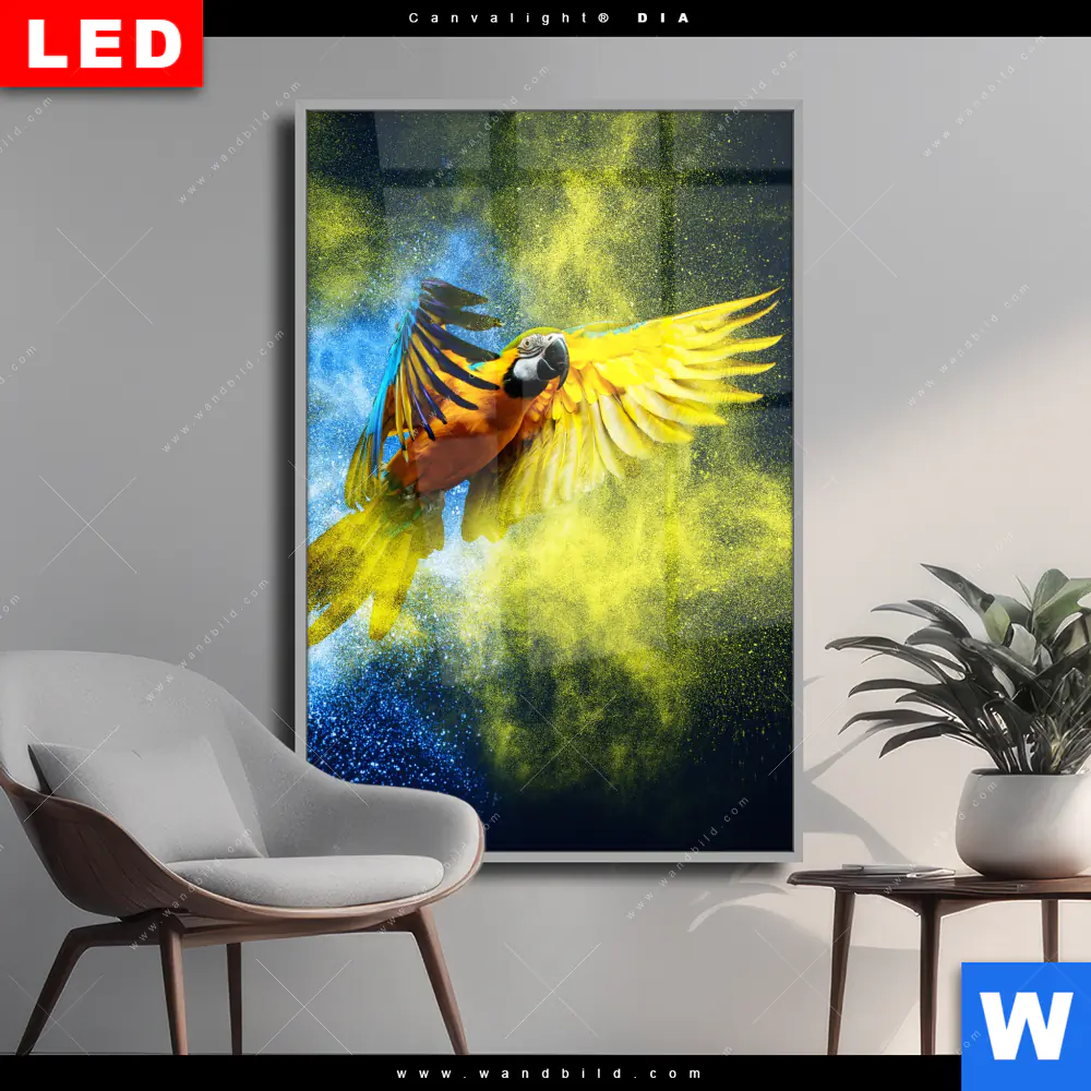 Wechselmotiv Acrylglas Canvalight® DIA | Papagei - Farbexplosion | Hochformat