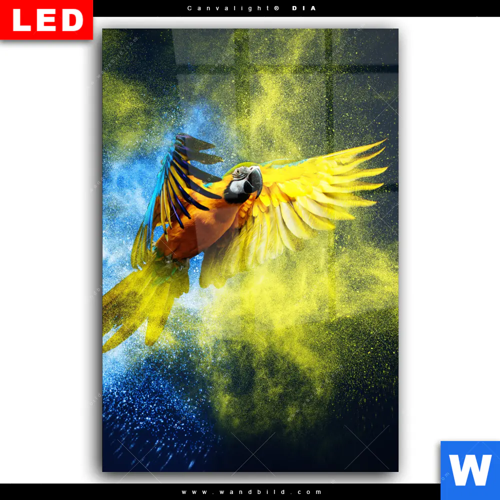 Wechselmotiv Acrylglas Canvalight® DIA | Papagei - Farbexplosion | Hochformat - Image 2