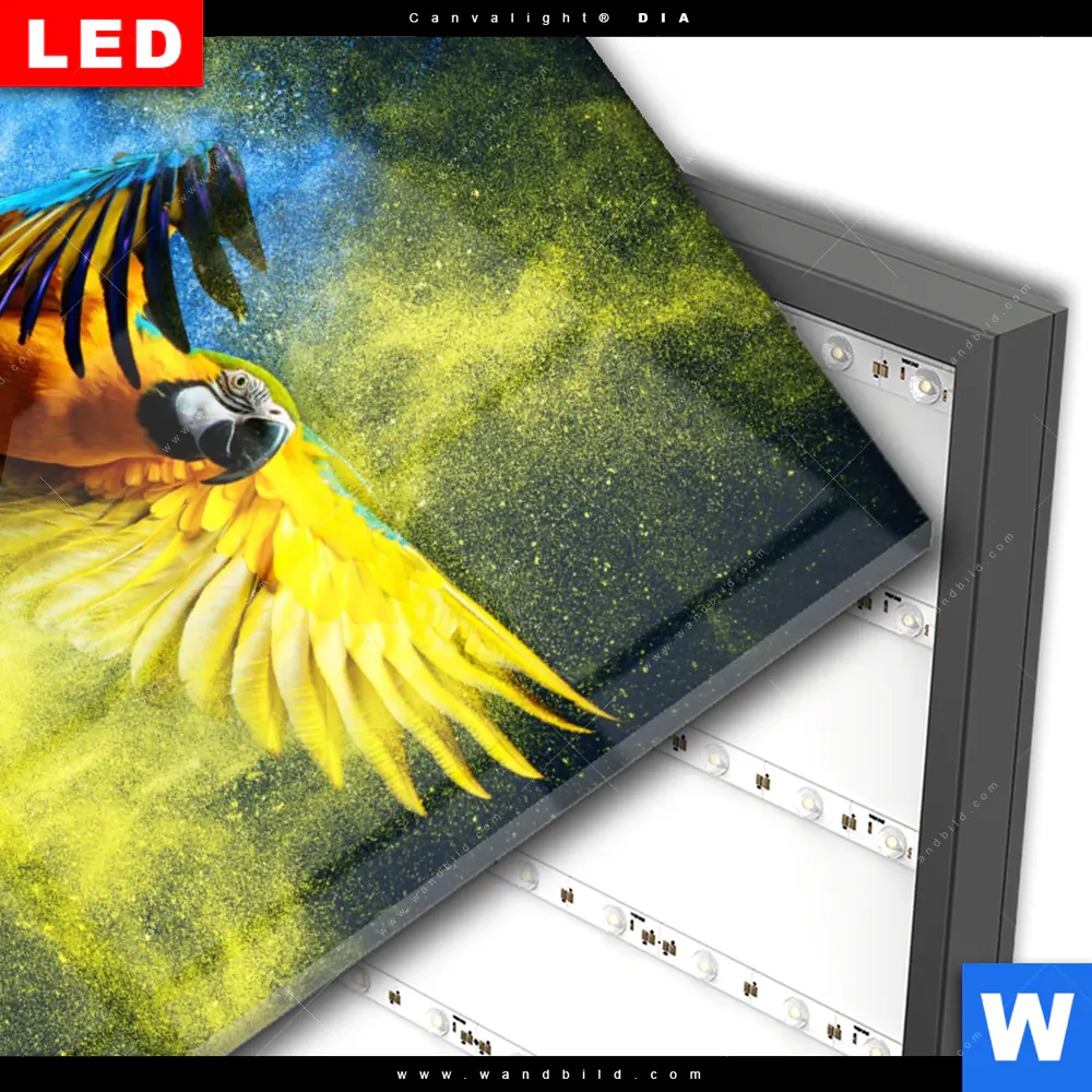 Wechselmotiv Acrylglas Canvalight® DIA | Papagei - Farbexplosion | Hochformat - Image 3