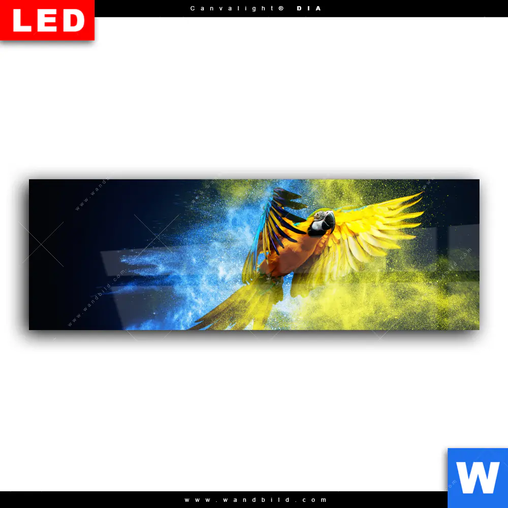 Wechselmotiv Acrylglas Canvalight® DIA | Papagei - Farbexplosion | Panorama - Image 2
