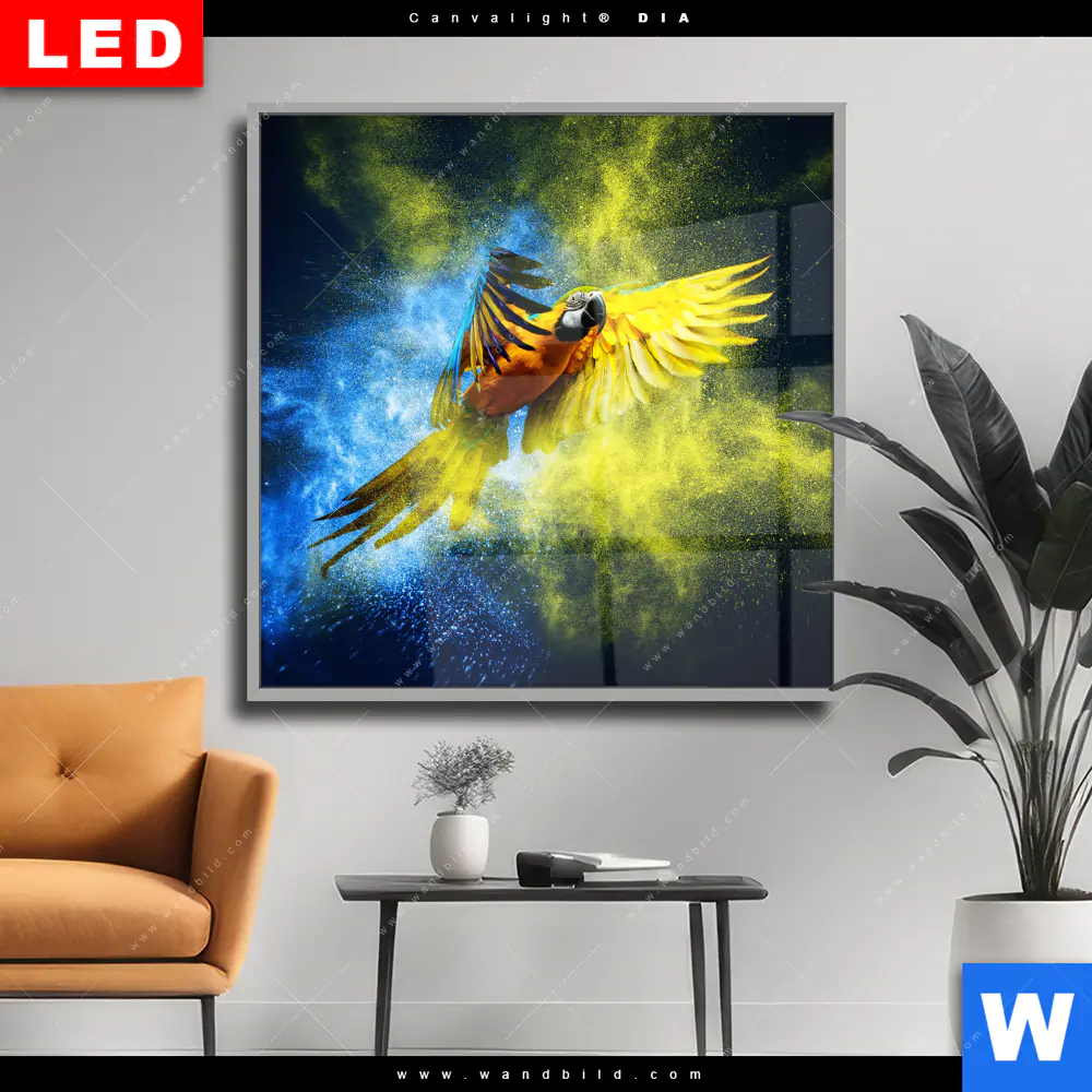 Wechselmotiv Acrylglas Canvalight® DIA | Papagei - Farbexplosion | Quadrat